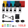 Resistance Band Set with Door Anchor — Home Workout Kit | Work Out Wars